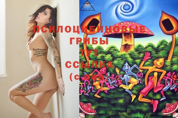 не бодяженный Арсеньев