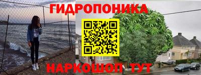 ГАЛЛЮЦИНОГЕННЫЕ ГРИБЫ Абакан