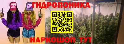 гидропоника Балашиха