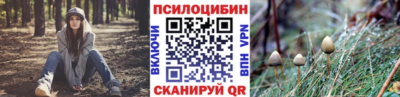 Псилоцибиновые грибы ЛСД  площадка официальный сайт  Бор 