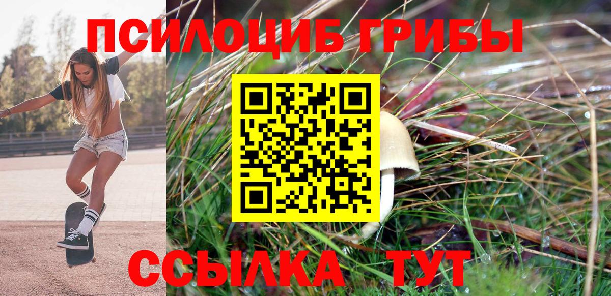 Галлюциногенные грибы мицелий  где можно купить   Бор 